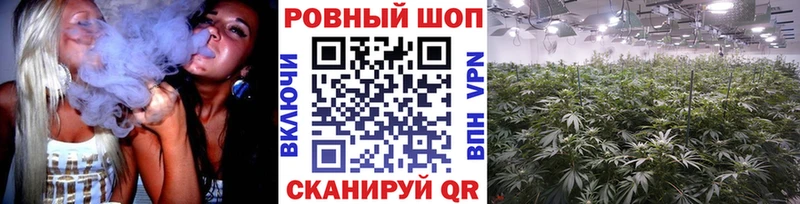 Где купить Судак Конопля  Кокаин  ГАШИШ 