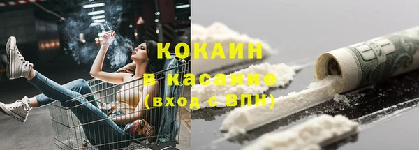 гидра Аркадак