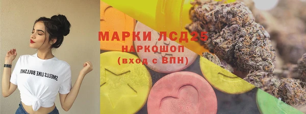 гидра Аркадак