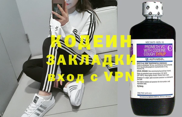 гидра Аркадак