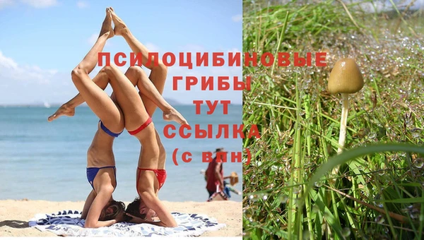 дмт Арсеньев