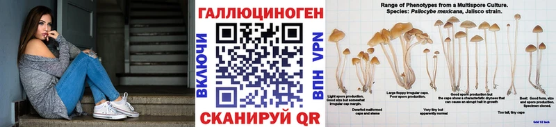 Галлюциногенные грибы Psilocybe  Судак 